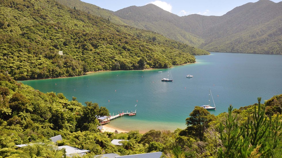 View the Endeavour Inlet bay and scenery from the hill above Punga Cove's accommodation Punga Cove is located in Endeavour Inlet which is one of the may arms in the Marlborough Sounds in New Zealand's top of the South Island