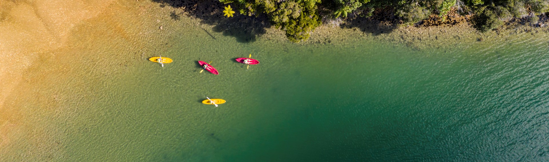 An aerial view of four kayaks exploring the shoreline of Punga Cove in the Marlborough Sounds in New Zealand's top of the South Island