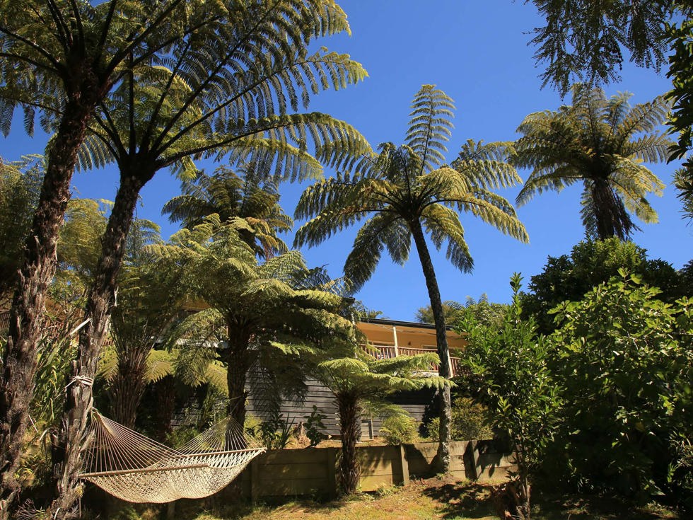 Hammocks hand in native forest clearings for relaxation spots at Punga Cove in the Marlborough Sounds in New Zealand's top of the South Island