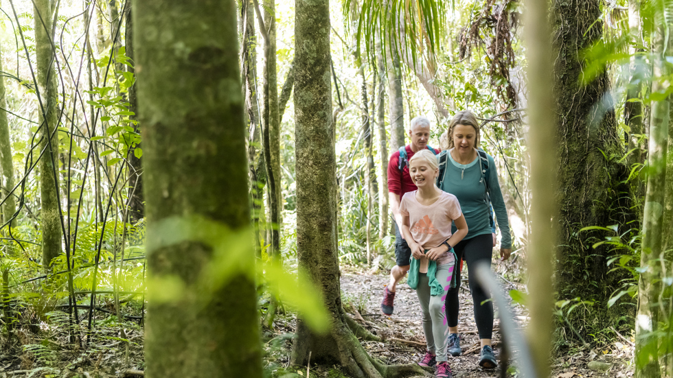 A family of four explore one of the Punga Cove tracks and native bush in the Marlborough Sounds in New Zealand's top of the South Island