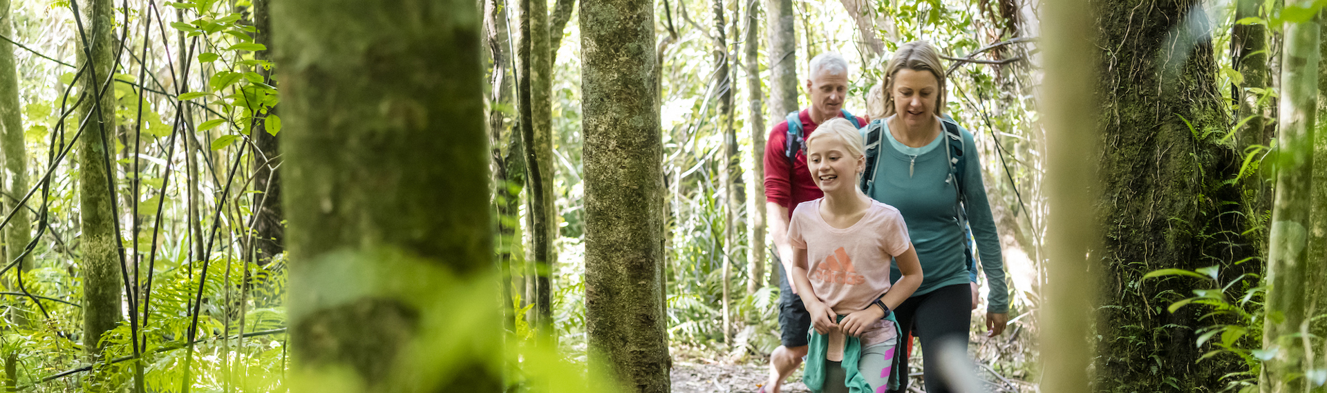 A family of four explore one of the Punga Cove tracks and native bush in the Marlborough Sounds in New Zealand's top of the South Island