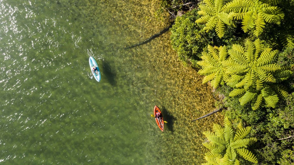 Two kayakers paddle along shoreline in Endeavour Inlet in the Marlborough Sounds in New Zealand's top of the South Island