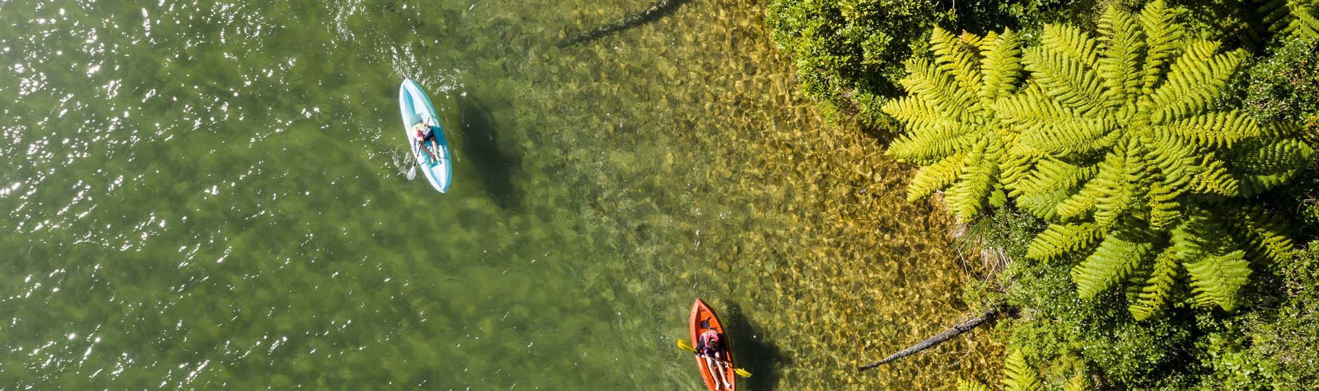 Two kayakers paddle along shoreline in Endeavour Inlet in the Marlborough Sounds in New Zealand's top of the South Island