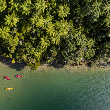 An aerial view of four kayaks exploring the shoreline of Punga Cove in the Marlborough Sounds in New Zealand's top of the South Island