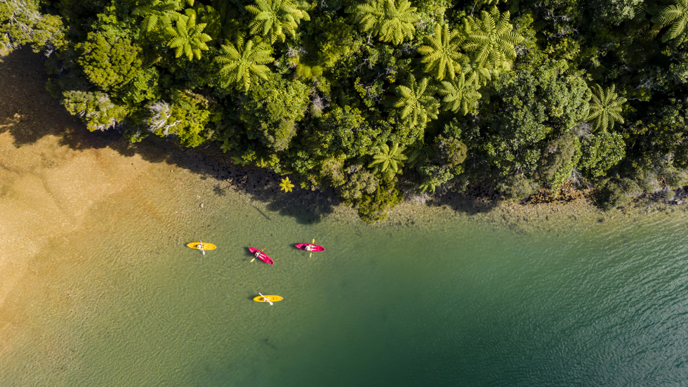 An aerial view of four kayaks exploring the shoreline of Punga Cove in the Marlborough Sounds in New Zealand's top of the South Island