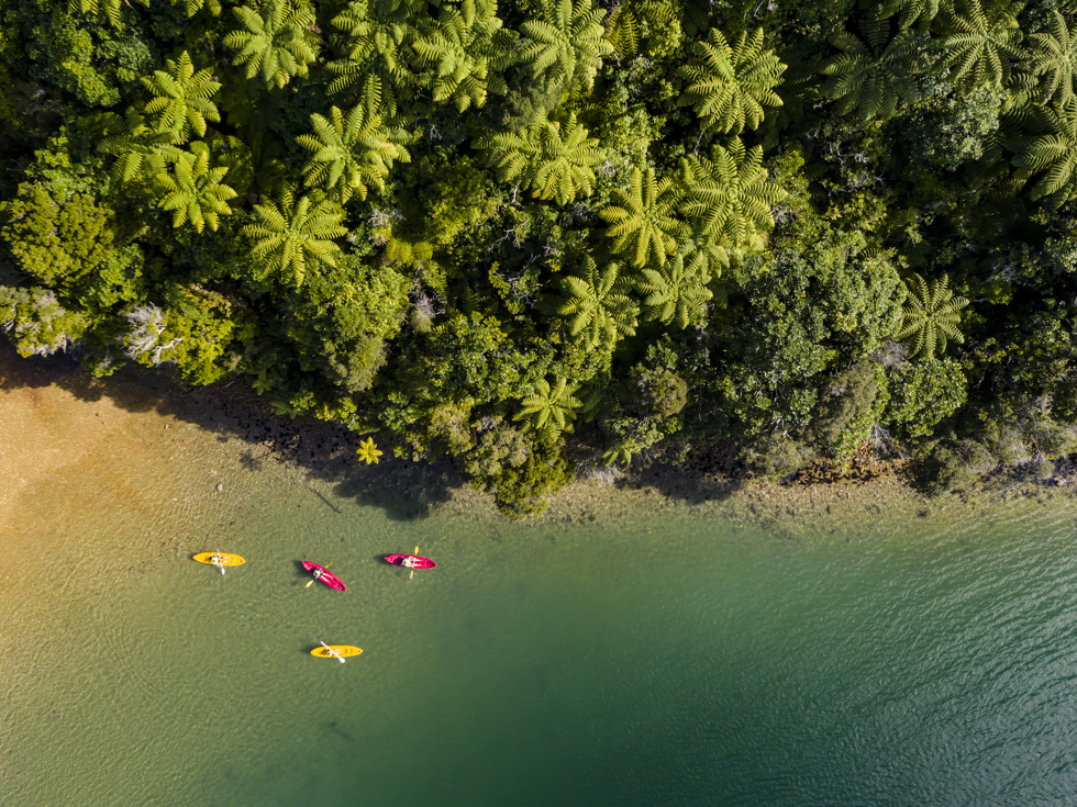 An aerial view of four kayaks exploring the shoreline of Punga Cove in the Marlborough Sounds in New Zealand's top of the South Island