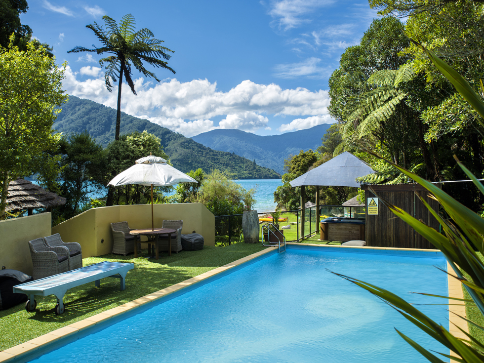 Swim at Punga Cove's accommodation pool which is one of the activities guests can do during their stay in the Marlborough Sounds in New Zealand's top of the South Island