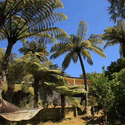 Hammocks hand in native forest clearings for relaxation spots at Punga Cove in the Marlborough Sounds in New Zealand's top of the South Island