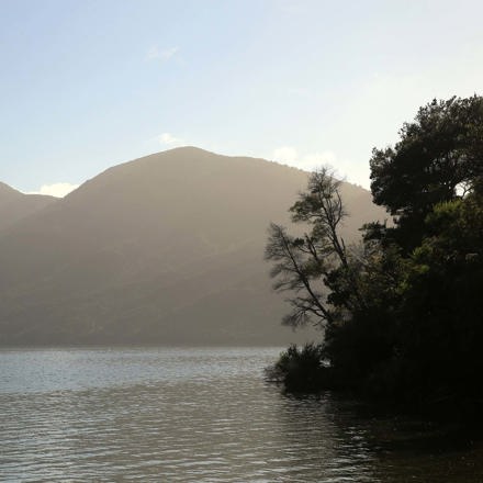 View the beautiful sunset from behind the hills at Punga Cove in the Marlborough Sounds of New Zealand's top of the South Island