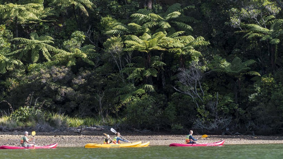 A family of four paddle around the shoreline at Punga Cove in the Marlborough Sounds in New Zealand's top of the South Island