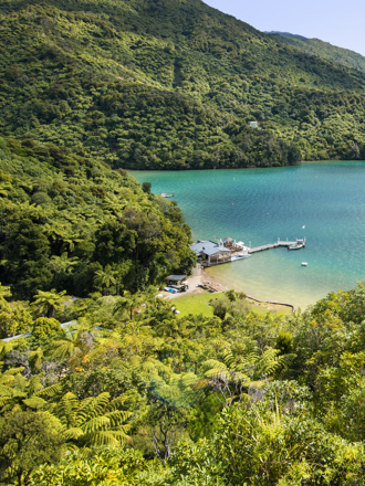 Scenic views are breathtaking at the top of Punga Cove and overlook Endeavour Inlet in the Marlborough Sounds in New Zealand's top of the South Island