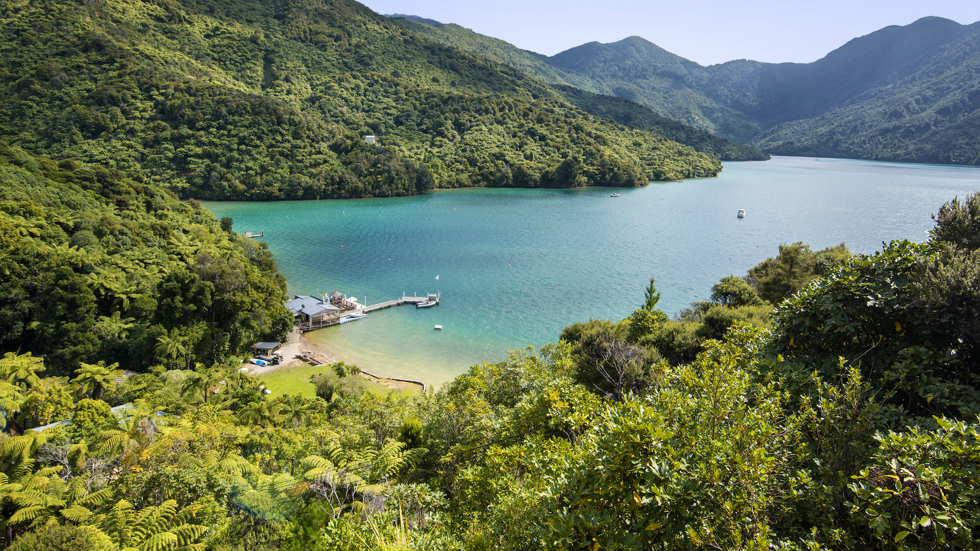 Scenic views are breathtaking at the top of Punga Cove and overlook Endeavour Inlet in the Marlborough Sounds in New Zealand's top of the South Island