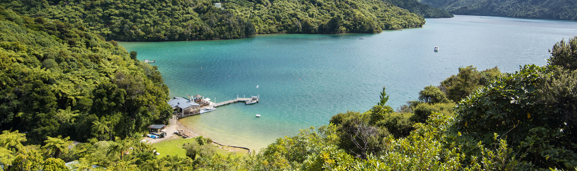 Scenic views are breathtaking at the top of Punga Cove and overlook Endeavour Inlet in the Marlborough Sounds in New Zealand's top of the South Island