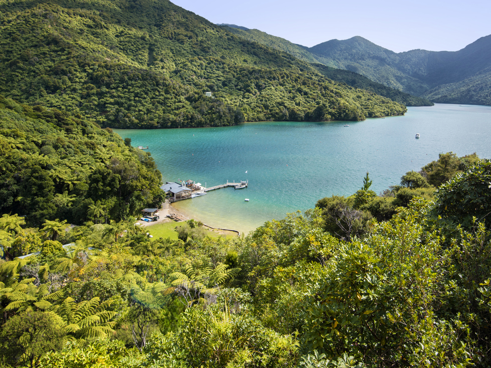 Scenic views are breathtaking at the top of Punga Cove and overlook Endeavour Inlet in the Marlborough Sounds in New Zealand's top of the South Island