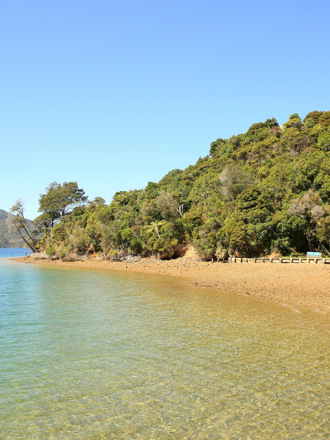 The beach at Punga Cove is a wonderful place to hang out on a summer's day in Endeavour Inlet in the Marlborough Sounds in New Zealand's top of the South Island