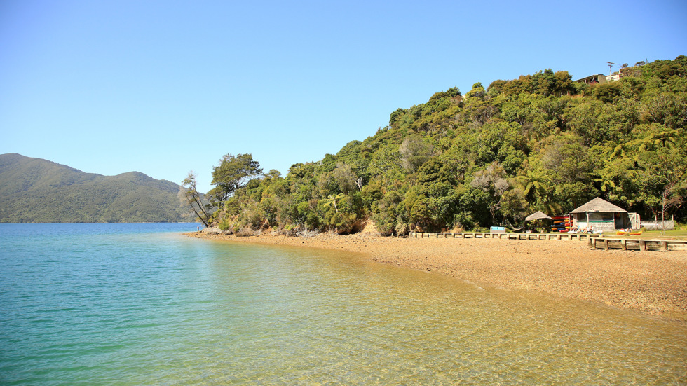 The beach at Punga Cove is a wonderful place to hang out on a summer's day in Endeavour Inlet in the Marlborough Sounds in New Zealand's top of the South Island