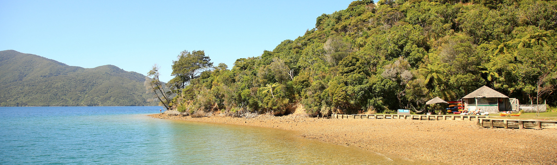 The beach at Punga Cove is a wonderful place to hang out on a summer's day in Endeavour Inlet in the Marlborough Sounds in New Zealand's top of the South Island